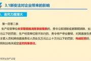 国产66页